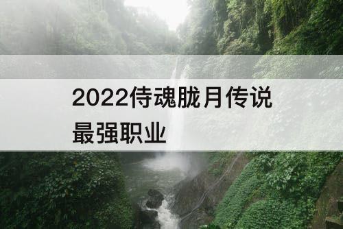 2022侍魂胧月传说最强职业