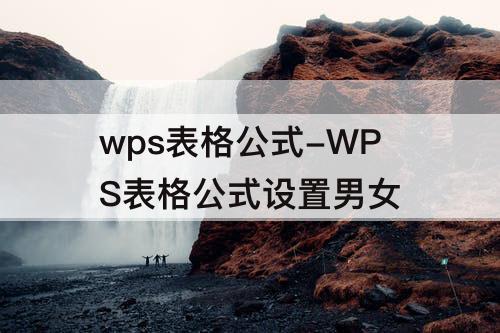 wps表格公式-WPS表格公式设置男女