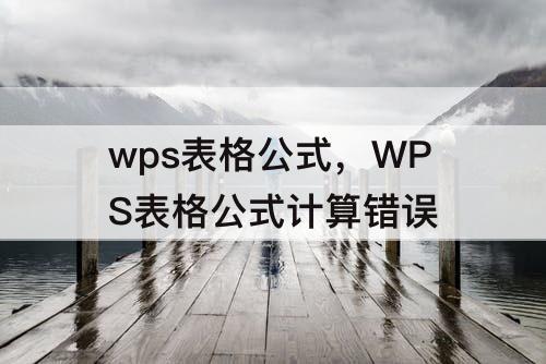 wps表格公式，WPS表格公式计算错误
