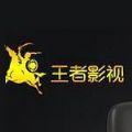 王者影视安卓版下载安装官网最新版手机