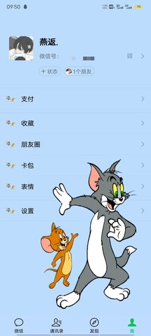 vx主题美化包2024截图