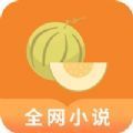 肉丸书吧手机版