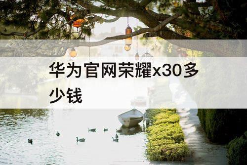 华为官网荣耀x30多少钱