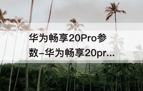 华为畅享20Pro参数-华为畅享20pro参数详细参数图片