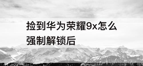 捡到华为荣耀9x怎么强制解锁后
