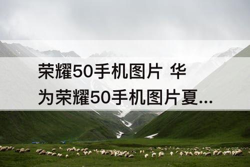荣耀50手机图片 华为荣耀50手机图片夏日琥珀