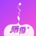暗香交友软件下载安装手机版最新版免费