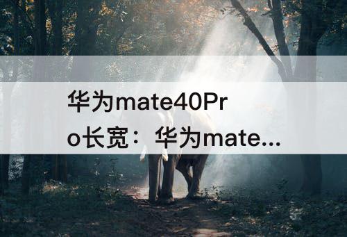 华为mate40Pro长宽：华为mate40pro长宽多少厘米
