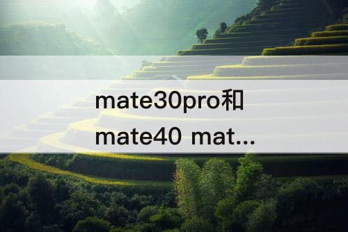 mate30pro和mate40 mate30pro和mate40参数对比