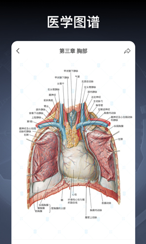 创序医考截图