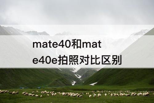 mate40和mate40e拍照对比区别