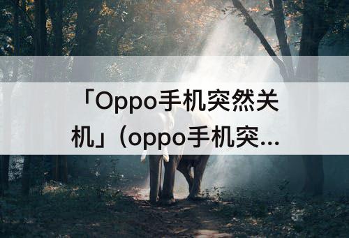 「Oppo手机突然关机」(oppo手机突然关机打不开怎么回事)
