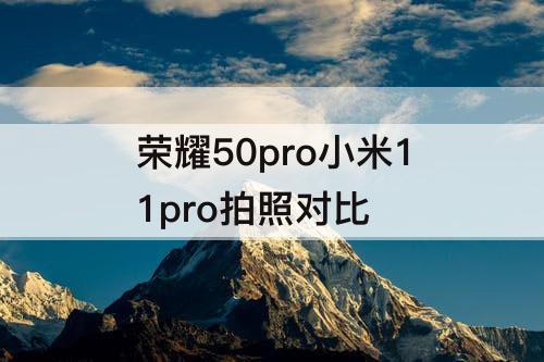 荣耀50pro小米11pro拍照对比