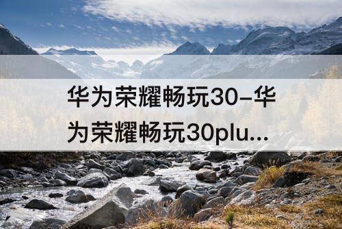 华为荣耀畅玩30-华为荣耀畅玩30plus上市时间