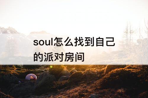 soul怎么找到自己的派对房间