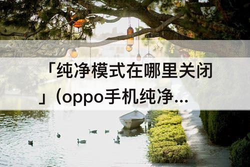 「纯净模式在哪里关闭」(oppo手机纯净模式在哪里关闭A11)