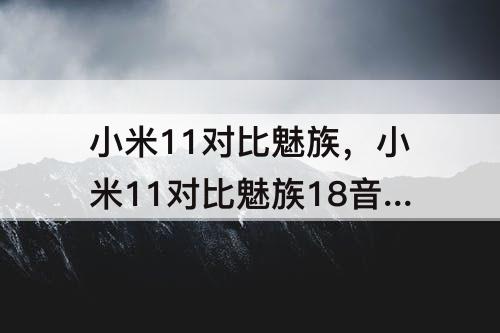 小米11对比魅族，小米11对比魅族18音质