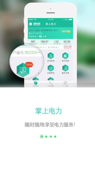 网上国网最新版截图