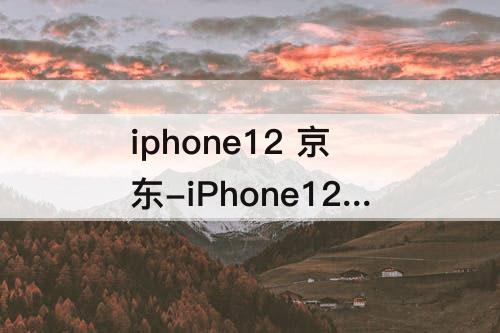 iphone12 京东-iPhone12 京东方屏幕