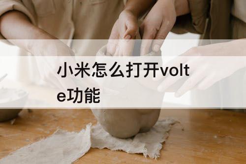 小米怎么打开volte功能