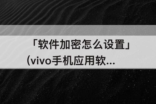 「软件加密怎么设置」(vivo手机应用软件加密怎么设置)