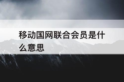 移动国网联合会员是什么意思