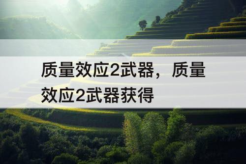 质量效应2武器，质量效应2武器获得