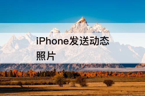 iPhone发送动态照片