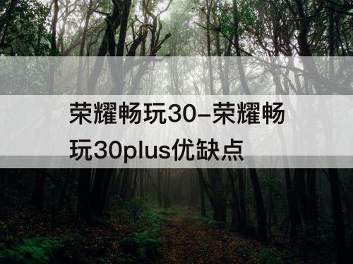 荣耀畅玩30-荣耀畅玩30plus优缺点