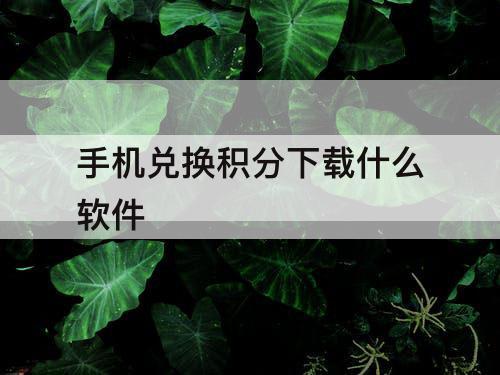 手机兑换积分下载什么软件