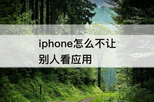 iphone怎么不让别人看应用