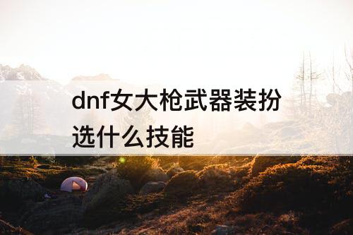 dnf女大枪武器装扮选什么技能