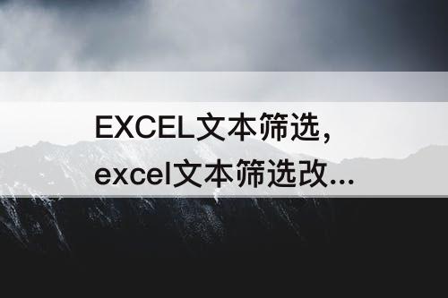 EXCEL文本筛选，excel文本筛选改成数字筛选