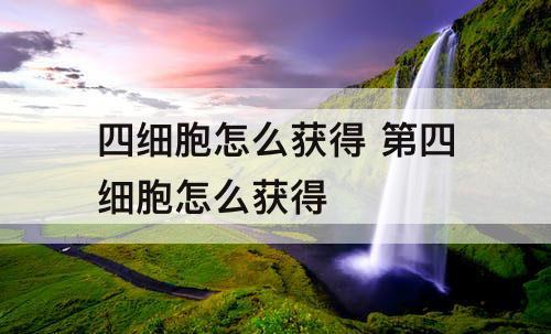 四细胞怎么获得 第四细胞怎么获得