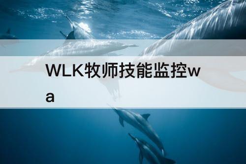 WLK牧师技能监控wa