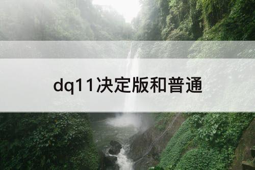 dq11决定版和普通