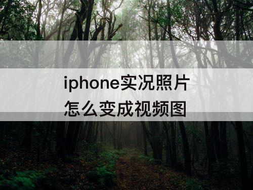 iphone实况照片怎么变成视频图