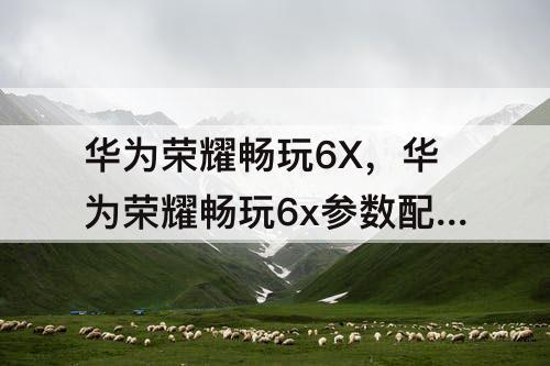 华为荣耀畅玩6X，华为荣耀畅玩6x参数配置