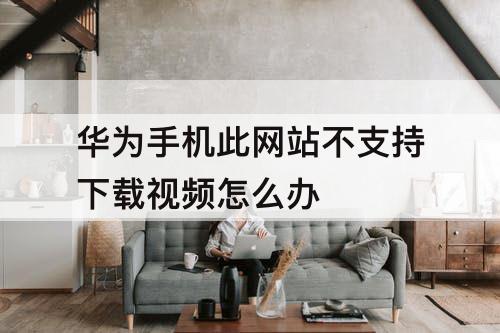 华为手机此网站不支持下载视频怎么办