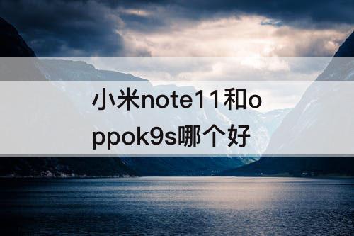 小米note11和oppok9s哪个好