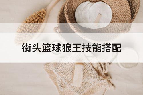 街头篮球狼王技能搭配