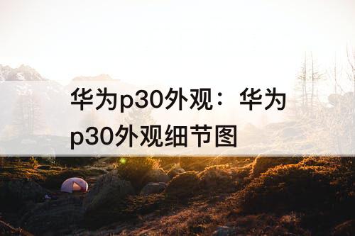 华为p30外观：华为p30外观细节图