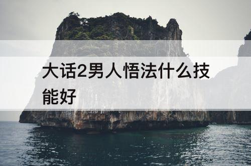 大话2男人悟法什么技能好
