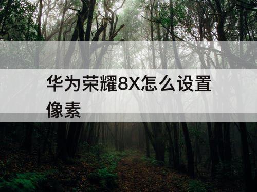 华为荣耀8X怎么设置像素
