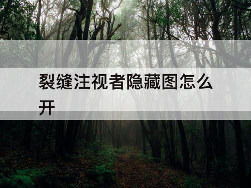 裂缝注视者隐藏图怎么开