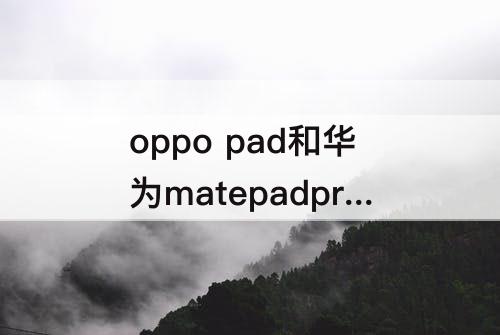 oppo pad和华为matepadpro