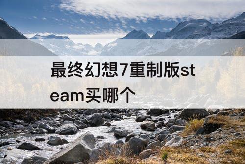 最终幻想7重制版steam买哪个