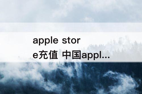apple store充值 中国apple store充值