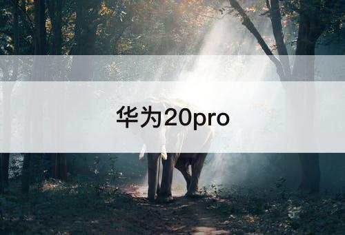 华为20pro