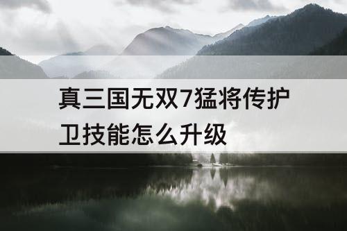 真三国无双7猛将传护卫技能怎么升级